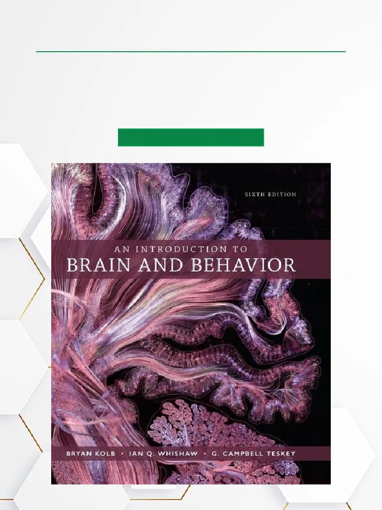 An Introduction To Brain And Behavior, 6th Edition ISBN 1319107370 ...