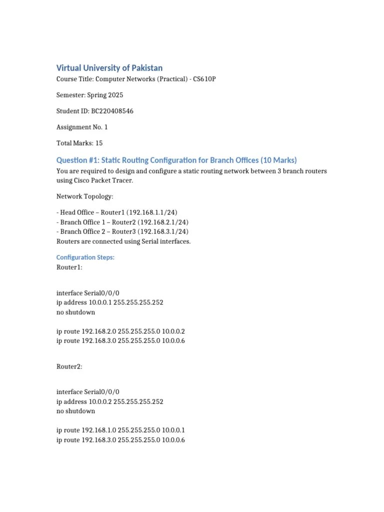 CS610P Assignment1 BC220408546 | PDF