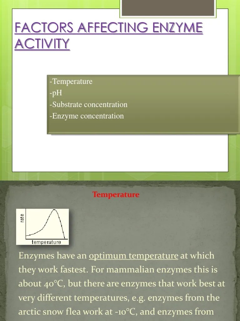 Factors Affecting Enzyme Activity | Download Free PDF | Active Site | Enzyme