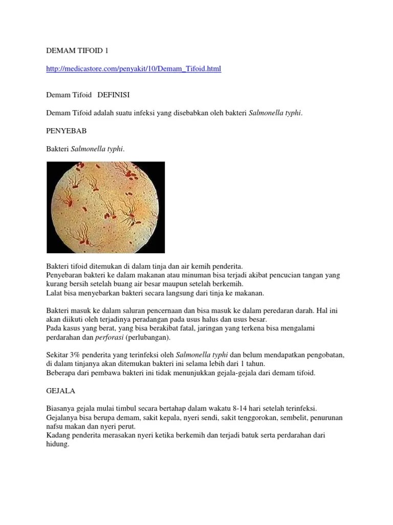 Demam Tifoid | PDF