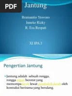 Microsoft Power Point - JANTUNG DAN PEMBULUH DARAH | PDF