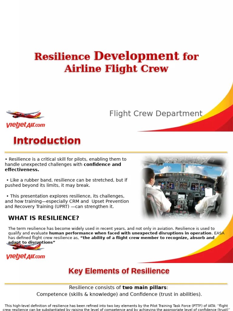 Resilience Pdf Psychological Resilience Aviation