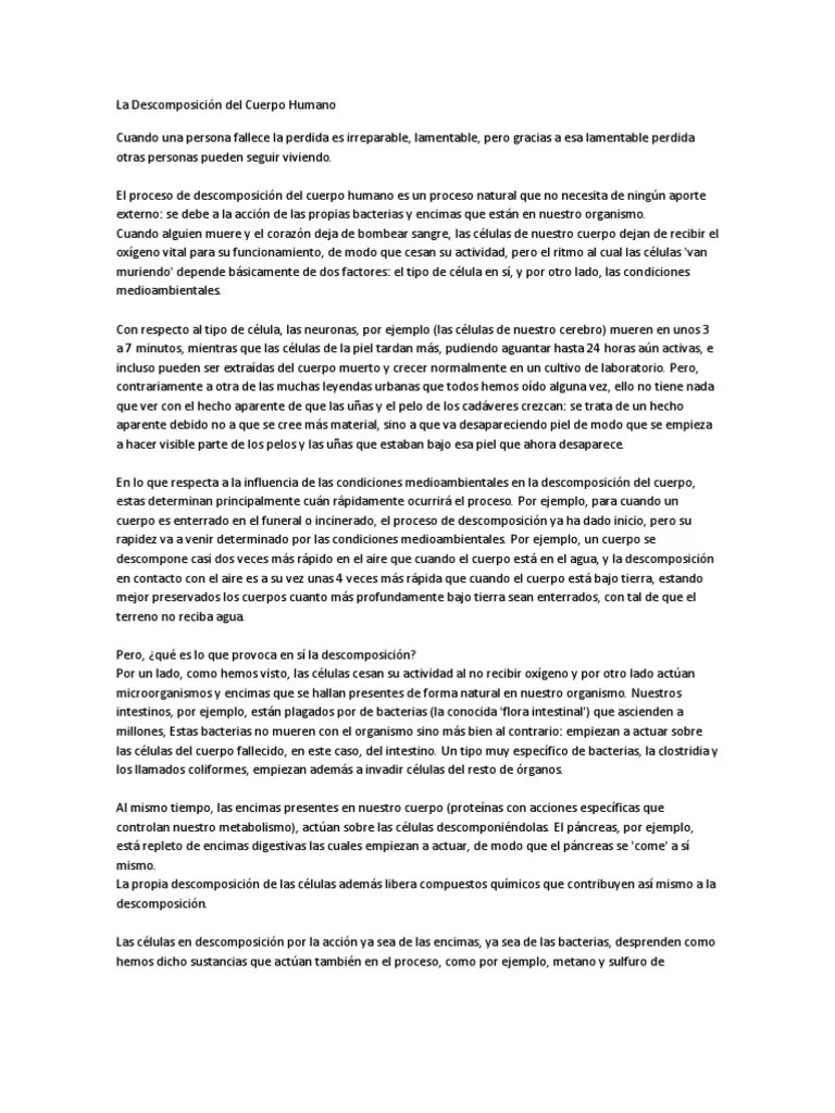 La Descomposición Del Cuerpo Humano | PDF | Descomposición | Biología ...
