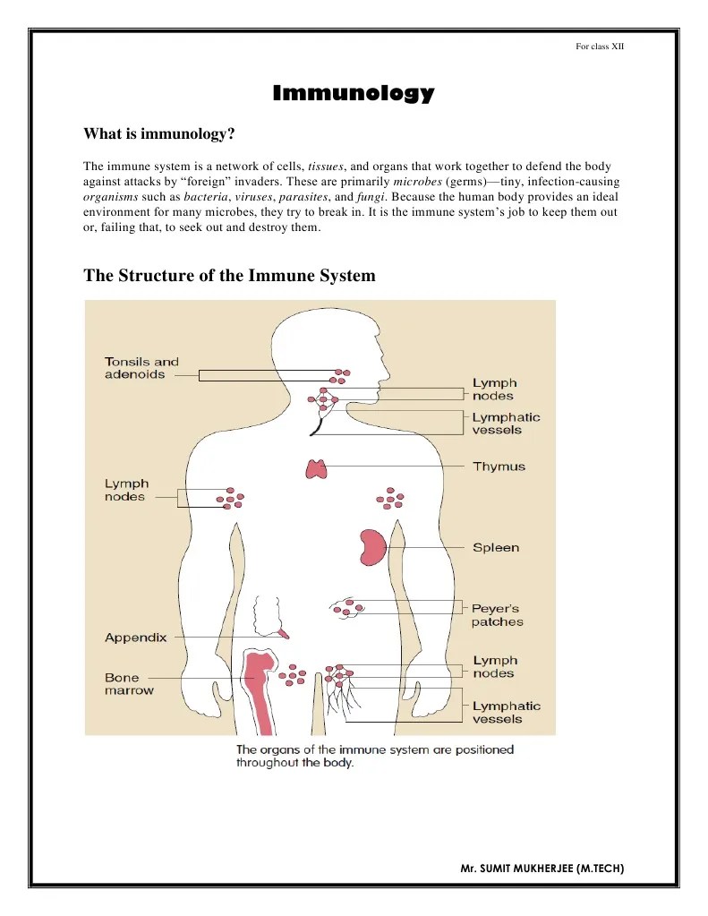 Immunology Notes | PDF | Immune System | Adaptive Immune System