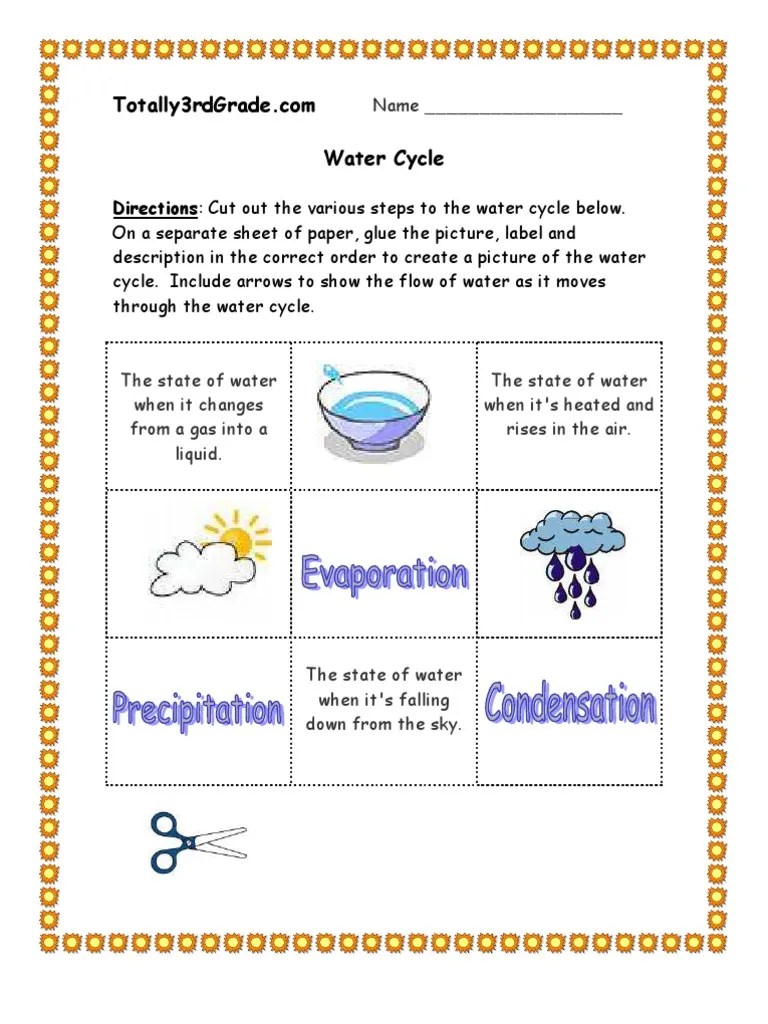 How did exploration and colonization influence louisiana's unique cultural heritage? 3rd Grade Water Cycle Worksheet Pdf