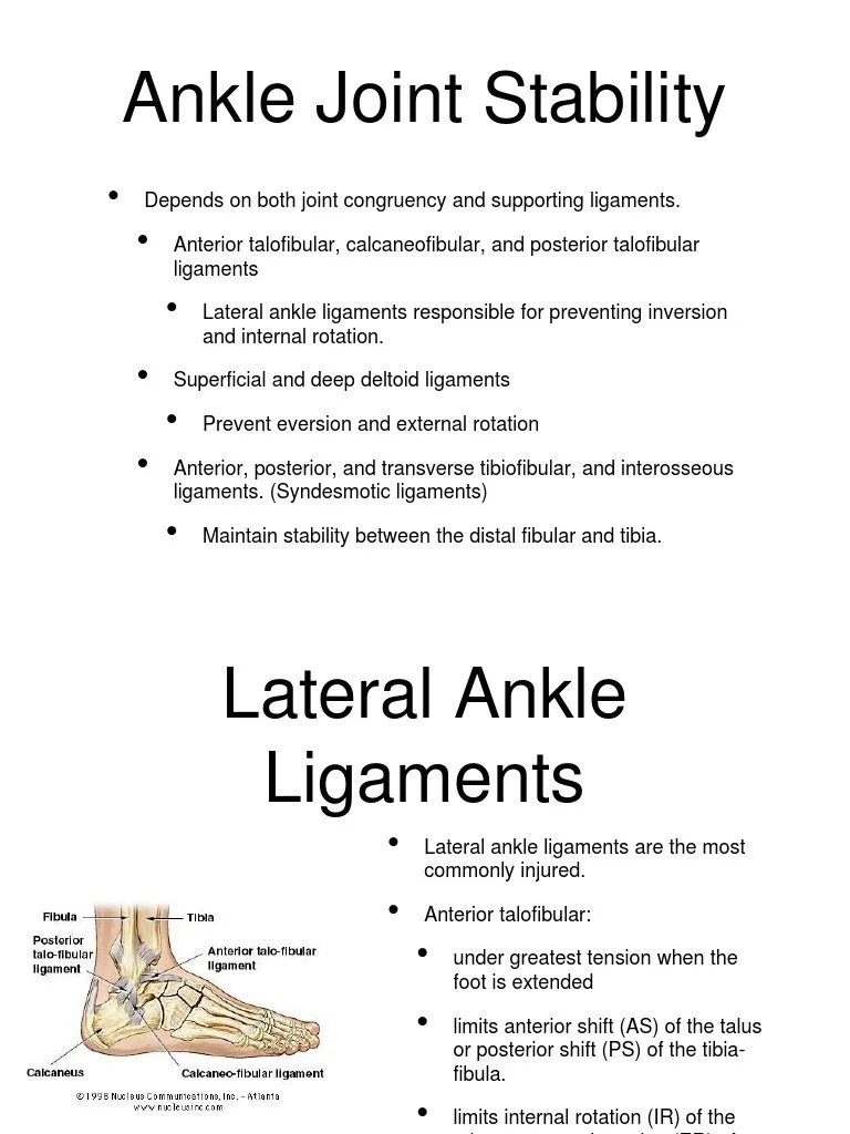 Biomechanics Ankle Presentation | PDF | Ankle | Foot