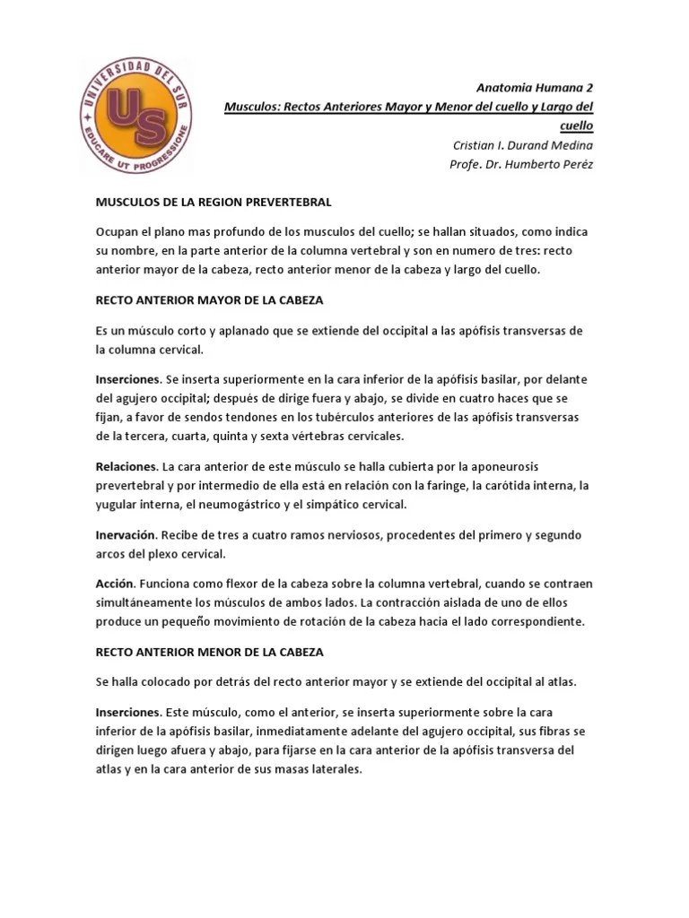 Musculos Rectos Anteriores | PDF | La Columna Vertebral | Sistema Musculoesquelético