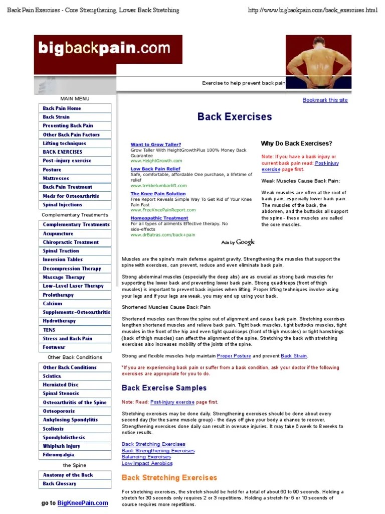 Back Pain Exercises - Core Strengthening, Lower Back Stretching | PDF | Back Pain | Human Anatomy