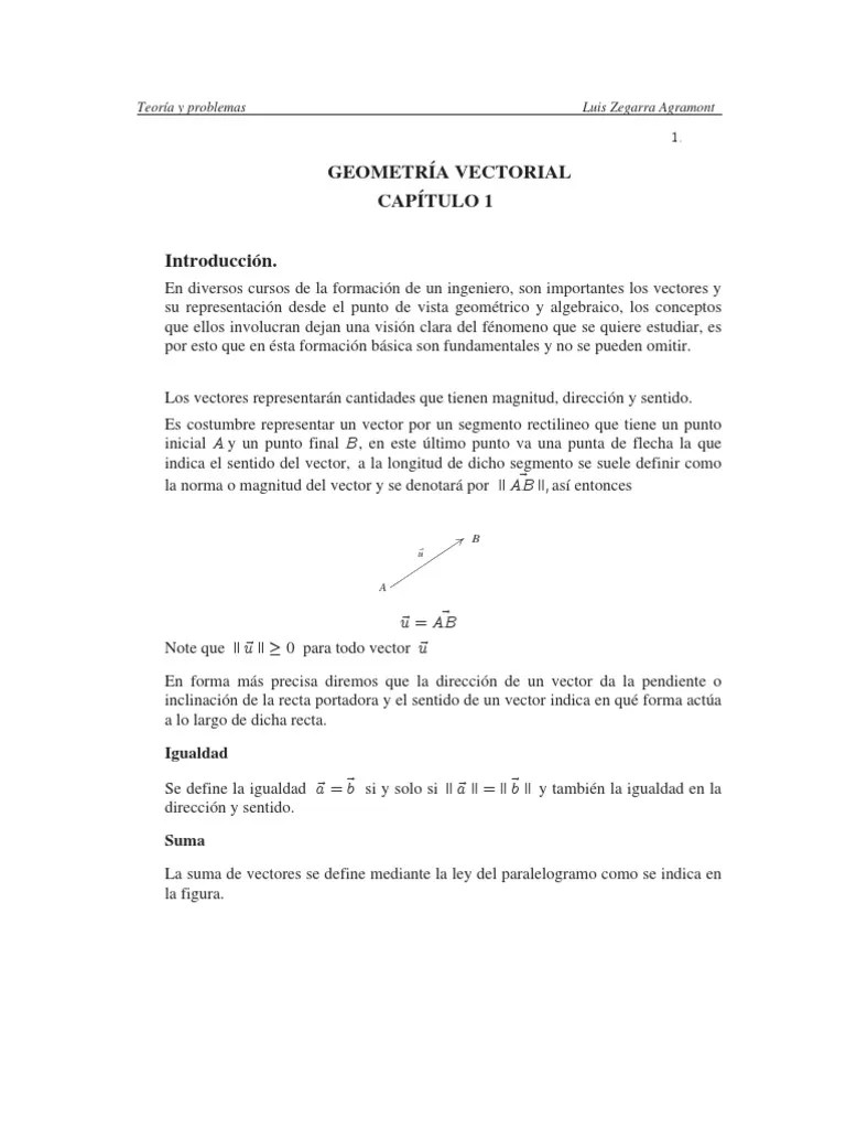 Geometria Vectorial | PDF | Vector Euclidiano | Espacio Vectorial