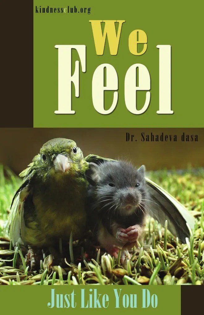 We Feel - Just Like You Do | PDF