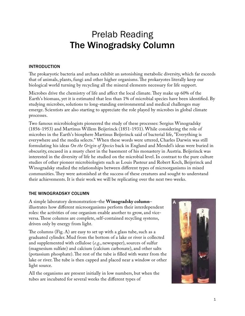 The Winogradsky Column | PDF | Bacteria | Cyanobacteria