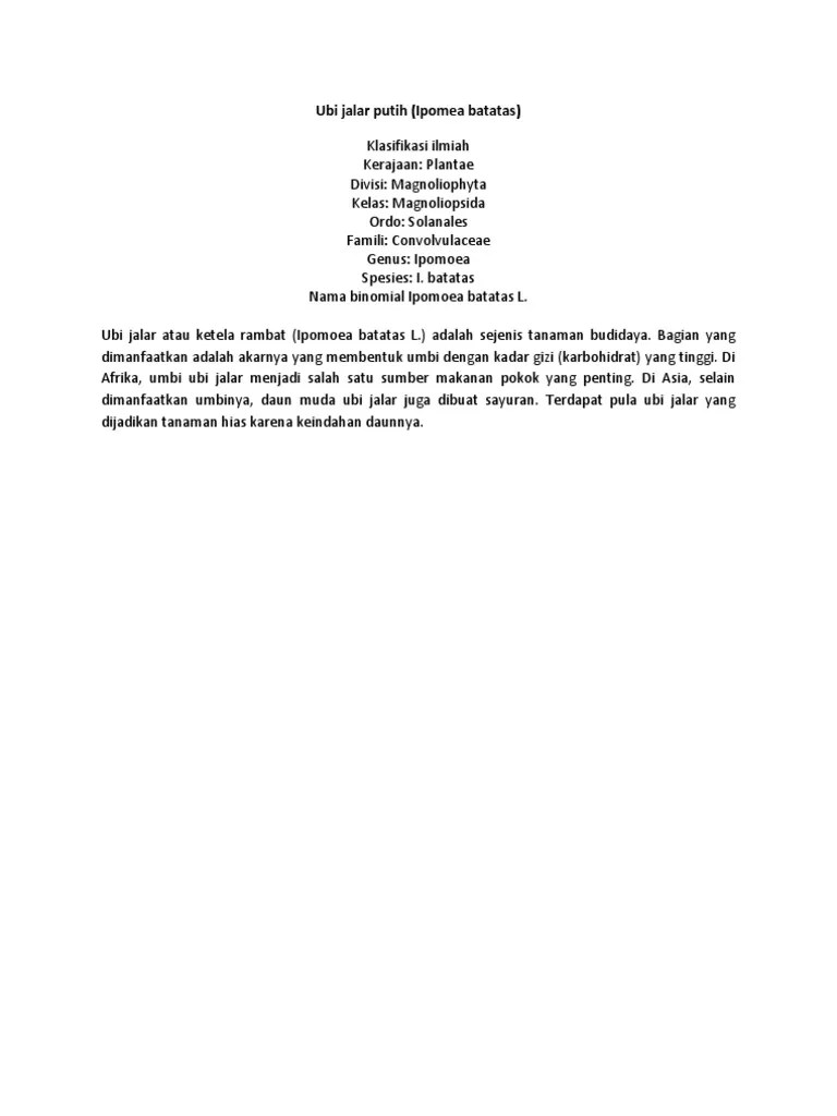 Ubi Jalar Putih | PDF