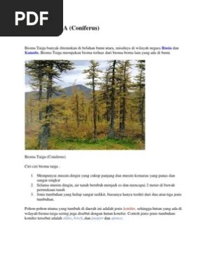 Hutan homogen, yaitu hutan yang terdiri atas satu jenis tumbuhan utama, . Bioma Taiga Pdf