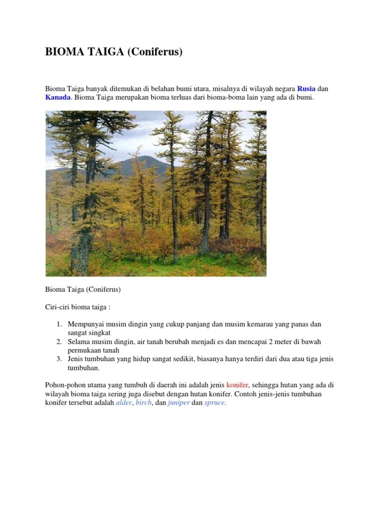 Bioma Taiga | PDF