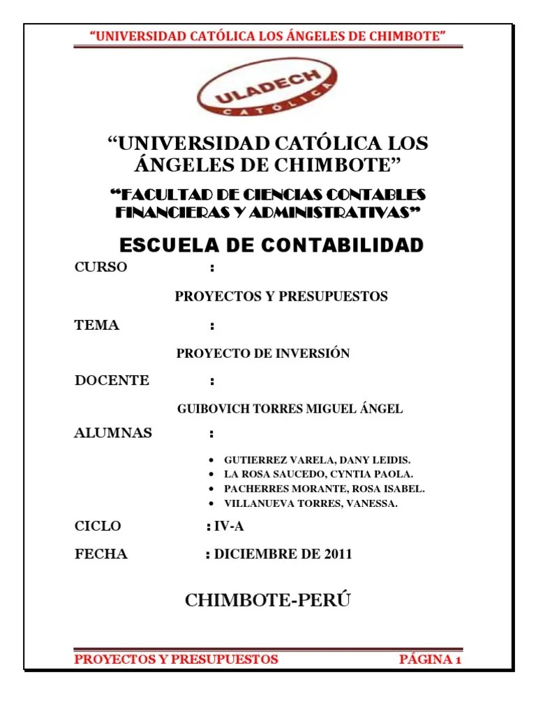 PROYECTO DE INVERSIÓN | PDF | Presupuesto | Producto (Negocio)
