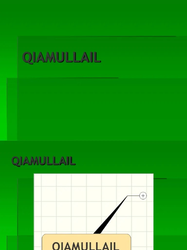 QIAMULLAIL | PDF