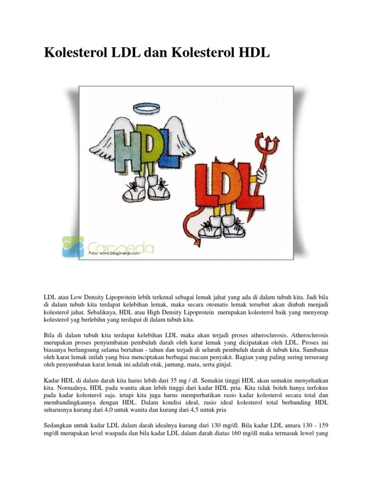 LDL Dan HDL | PDF