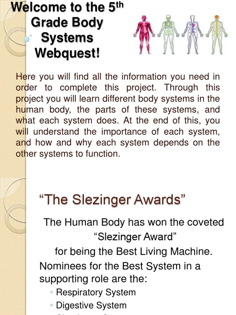 Body systems webquest