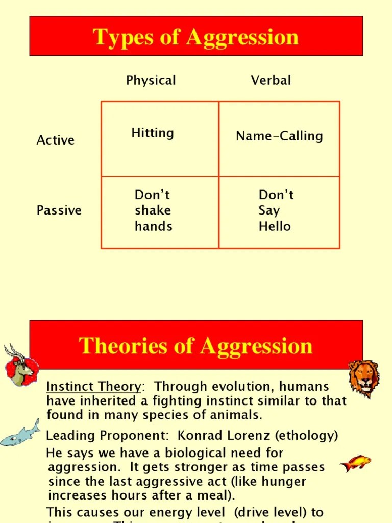 Types Of Aggression: Physical Verbal | PDF