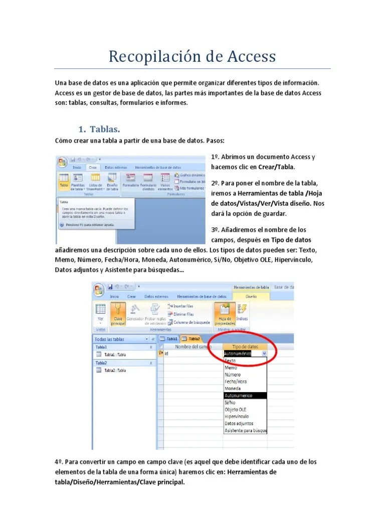 Recopilación De Access | PDF | Tabla (base De Datos) | Microsoft Excel