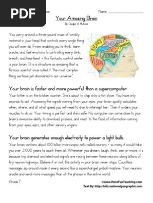 Reading with your kids is important. Your Amazing Brain Pdf Brain Neuron