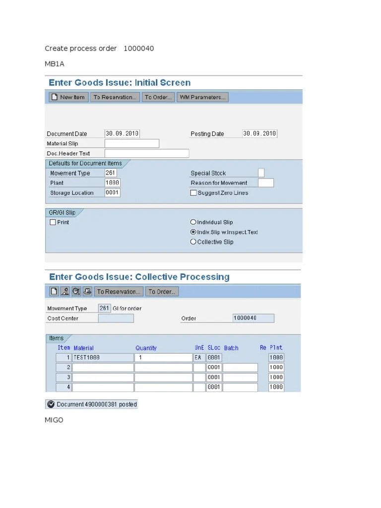 SAP WM GI For Process Order | PDF