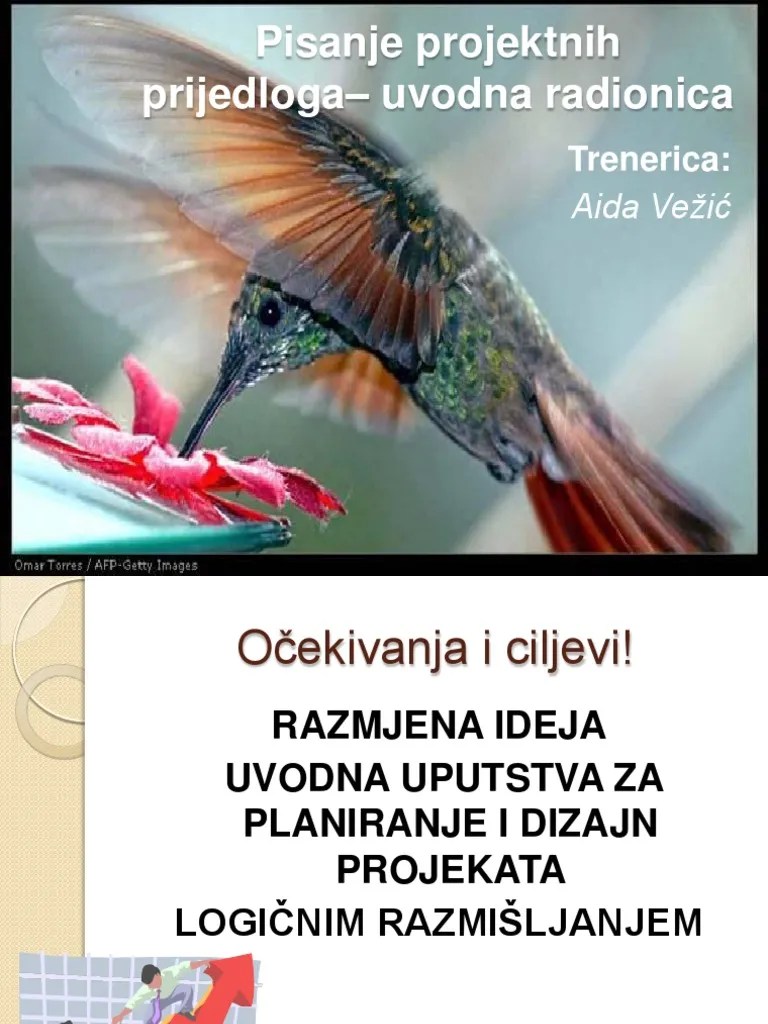 Pisanje Projekta | PDF
