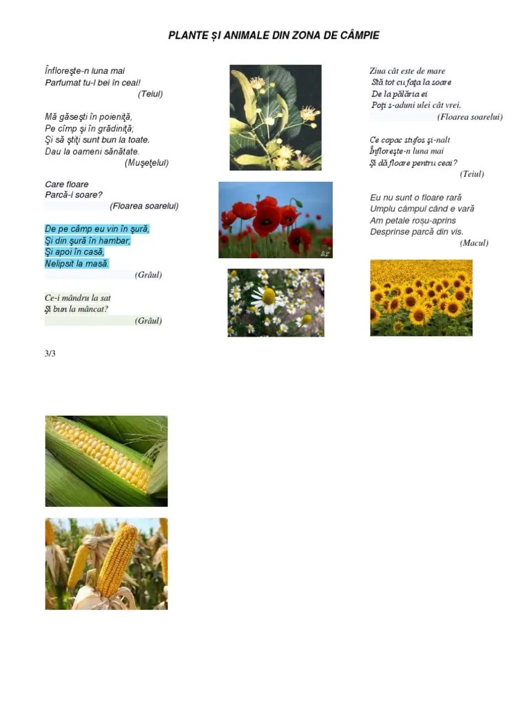 Trebuie subliniat şi faptul că pasul. Plante Si Animale Din Zona De Campie Portofoliu 2 Pdf