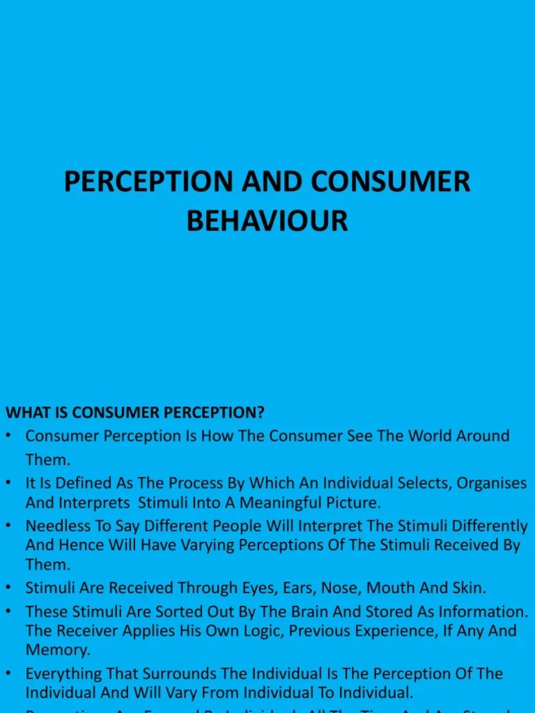 Perception And Consumer Behaviour | PDF