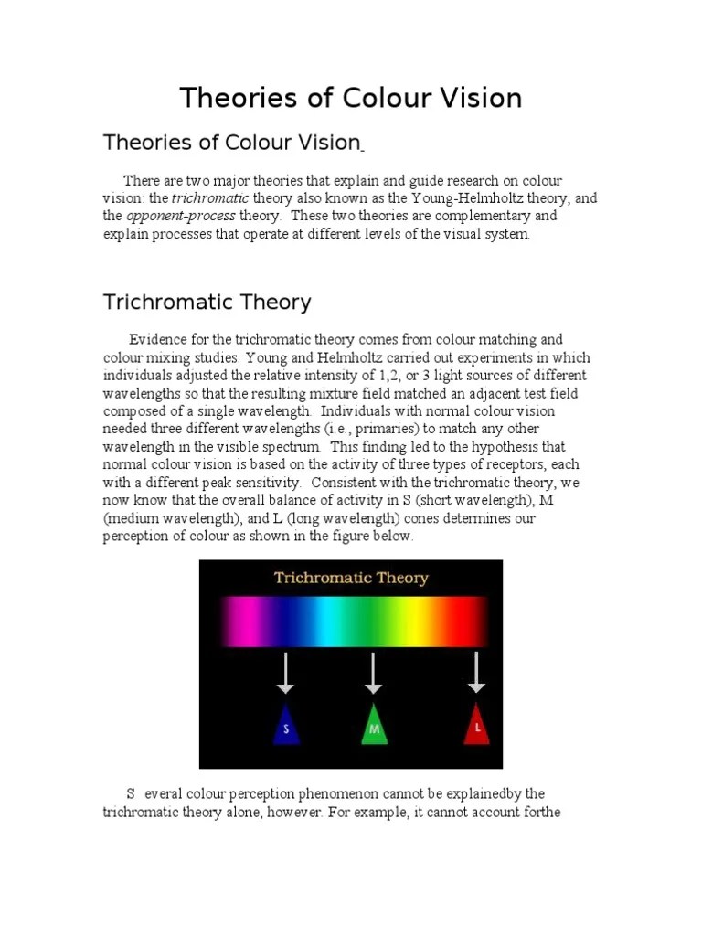 Theories Of Colour Vision | PDF | Color | Visual Perception