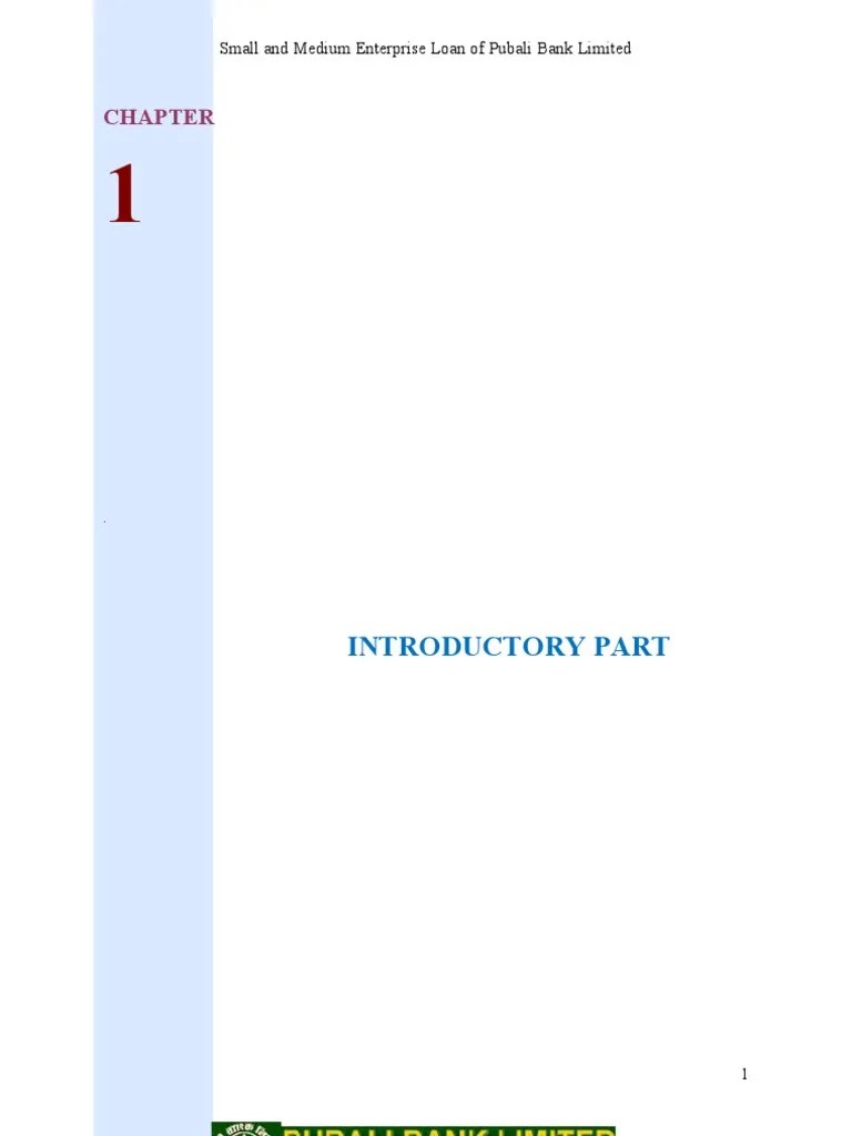 SME Loan | PDF | Banks | Loans
