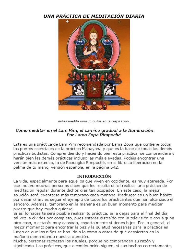 Una Practica De Meditacion Diaria | PDF | Karma | Budeidad
