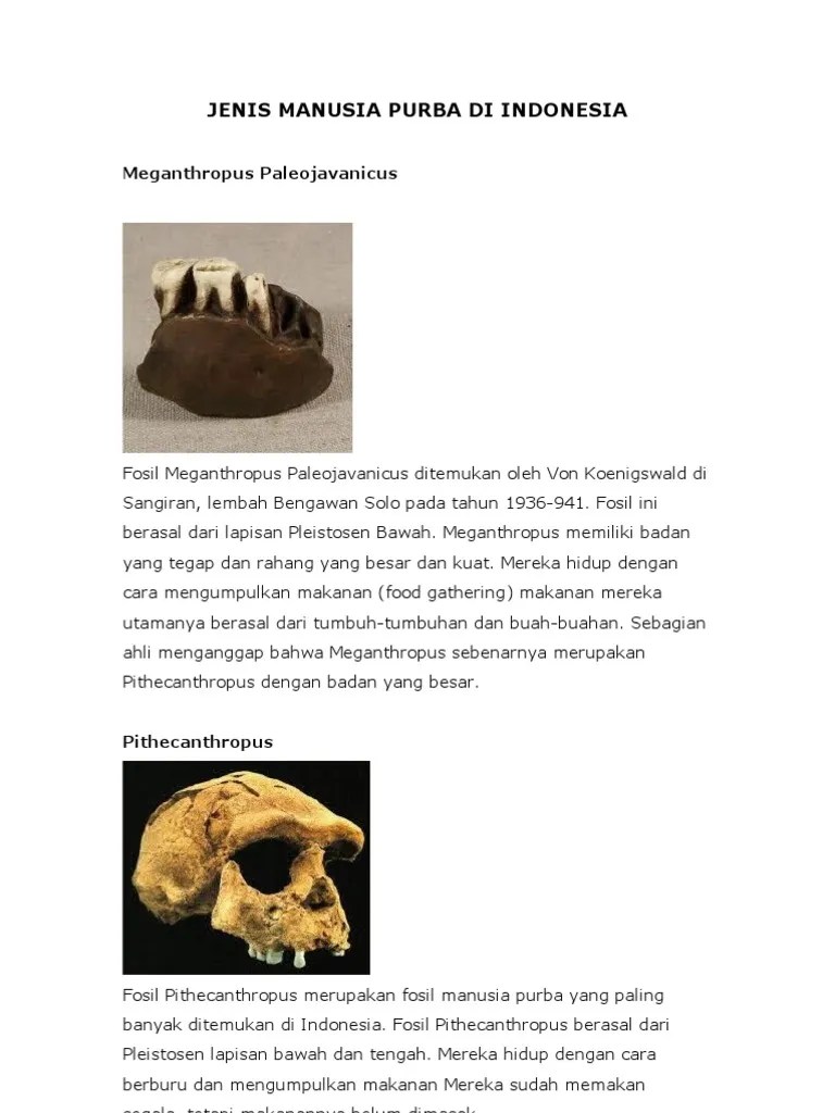 Jenis Manusia Purba Di Indonesia | PDF