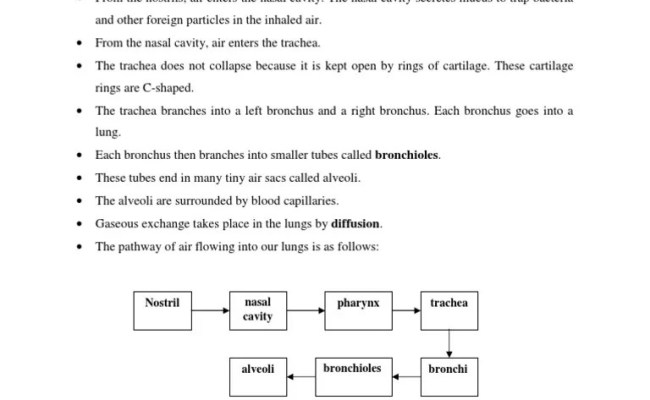 Science Form 3 Chapter 4 Kssm : Science Form 3 Chapter 7 Electricity Pdf Electric Charge Electrostatics