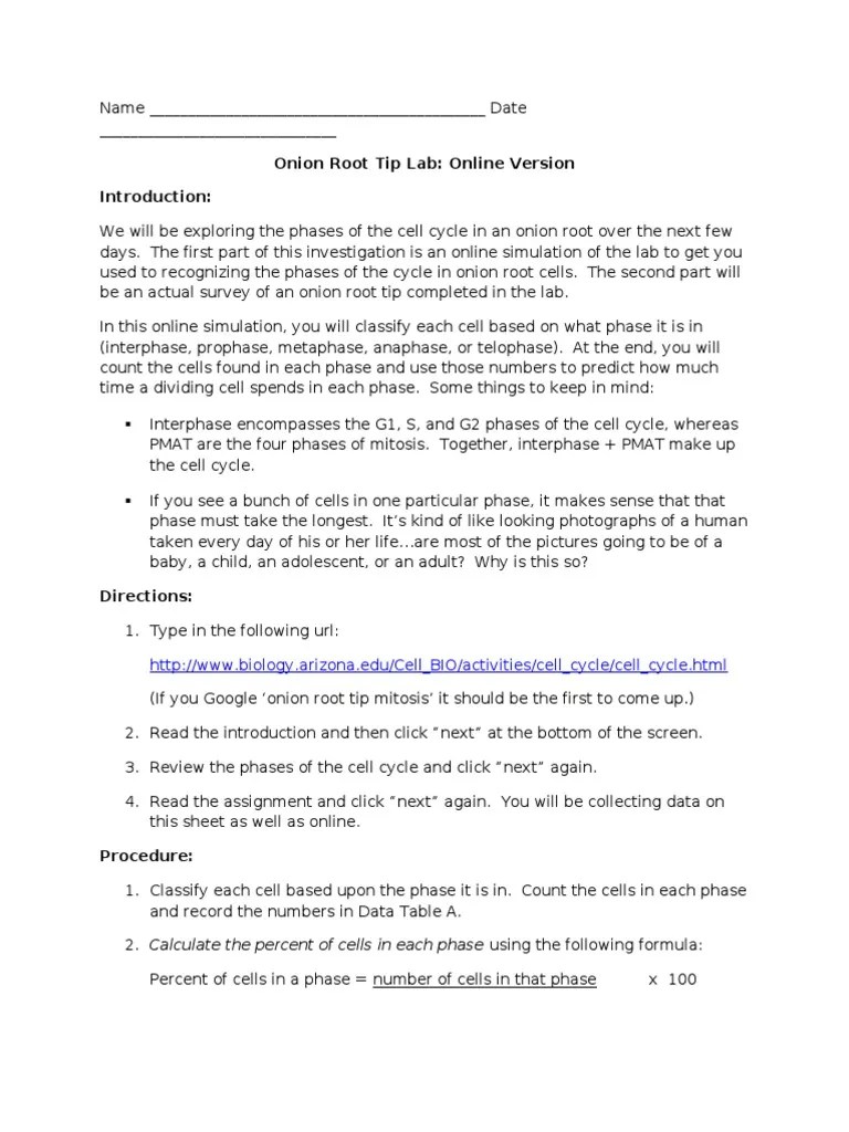 Online Onion Root Tip Lab | PDF | Mitosis | Cell Cycle