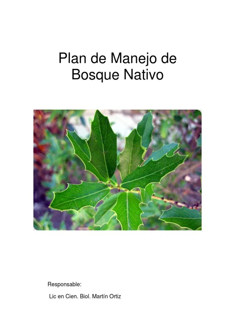 Plan De Manejo Bosque Nativo | PDF | Biodiversidad | Movimiento ...