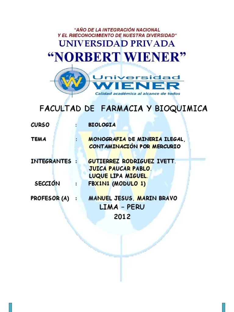 Contaminacion Por Mercurio REVISADO 2 | PDF | Mercurio (Elemento) | Contaminación