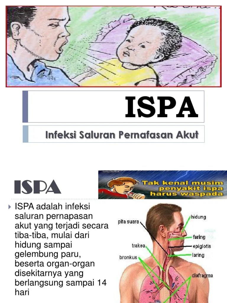 Penyuluhan Ispa | PDF