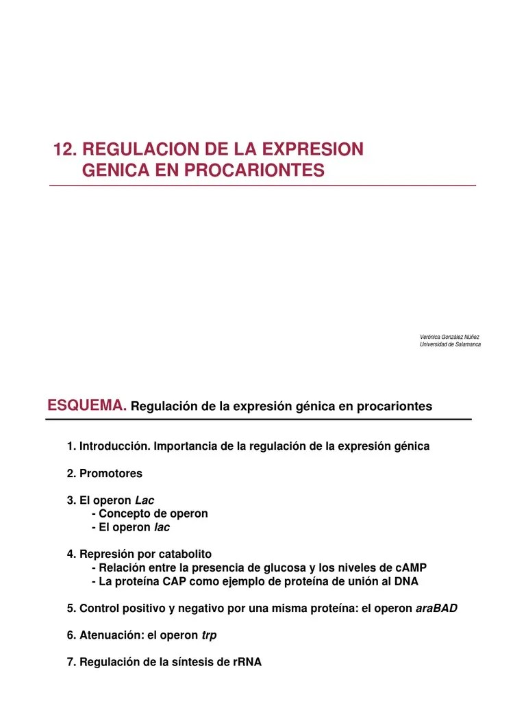 12 Regulacion De La Expresion Genica En Procariontes Pdf