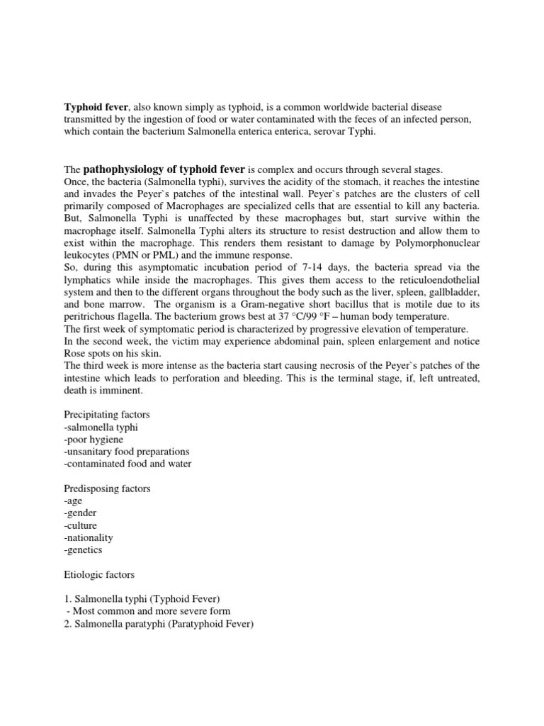 Pathophysiology Of Typhoid Fever | PDF | Salmonella | Bacteria