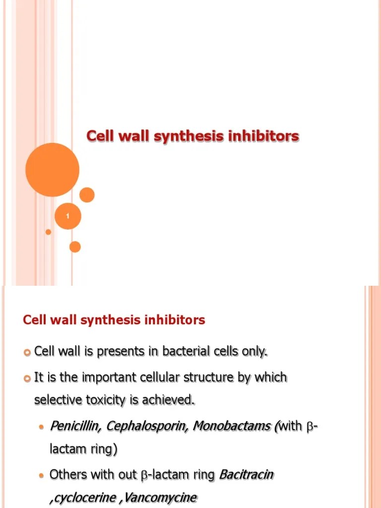 Cell Wall Synthesis Inhibitors | PDF | Penicillin | Enzyme Inhibitor