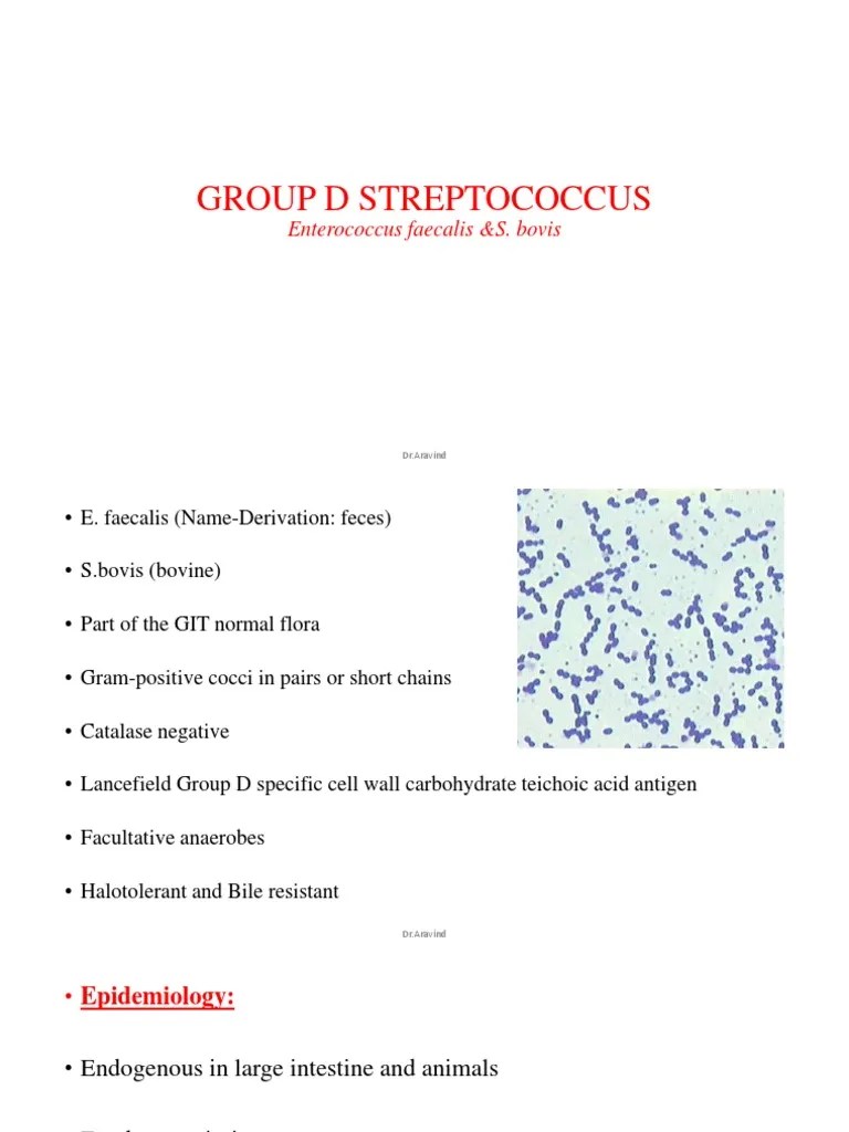 Enterococcus Or Group D Streptococci | PDF