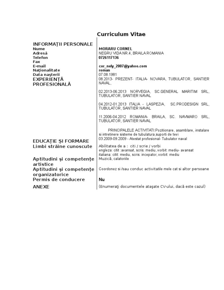 Depunerea dosarului la consulatul româniei sau în cadrul autorității naționale pentru cetățenie din românia. Model De Curriculum Vitae European