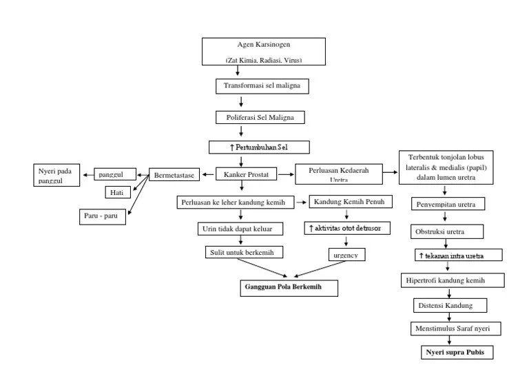 It may grow slowly and it's typically treatable. Pathway CA Prostat
