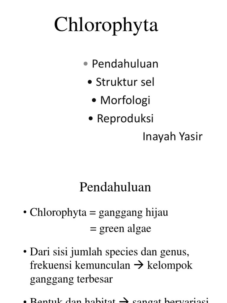Kuliah III - Chlorophyta | PDF
