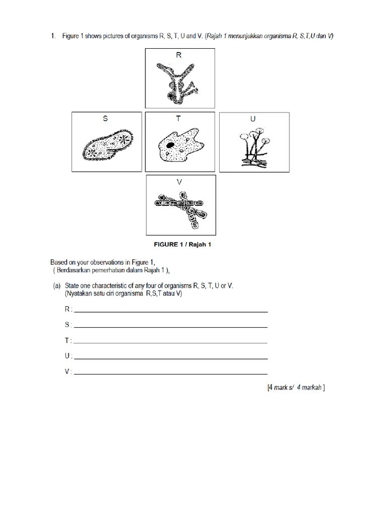 Latihan Sains Tingkatan 1 Bab 4 - Latihan Topikal Sains Tingkatan 5 Bab 4 Pdf
