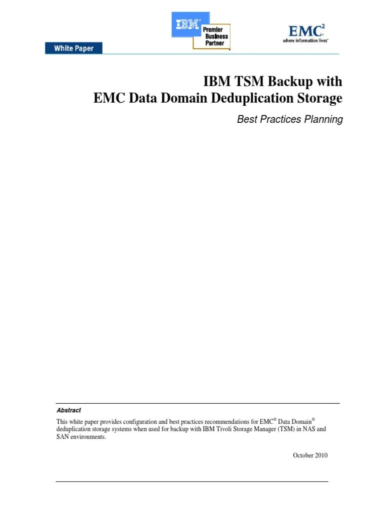 H8065 Ibm TSM Backup Data Domain WP | PDF | Backup | Computer Data Storage