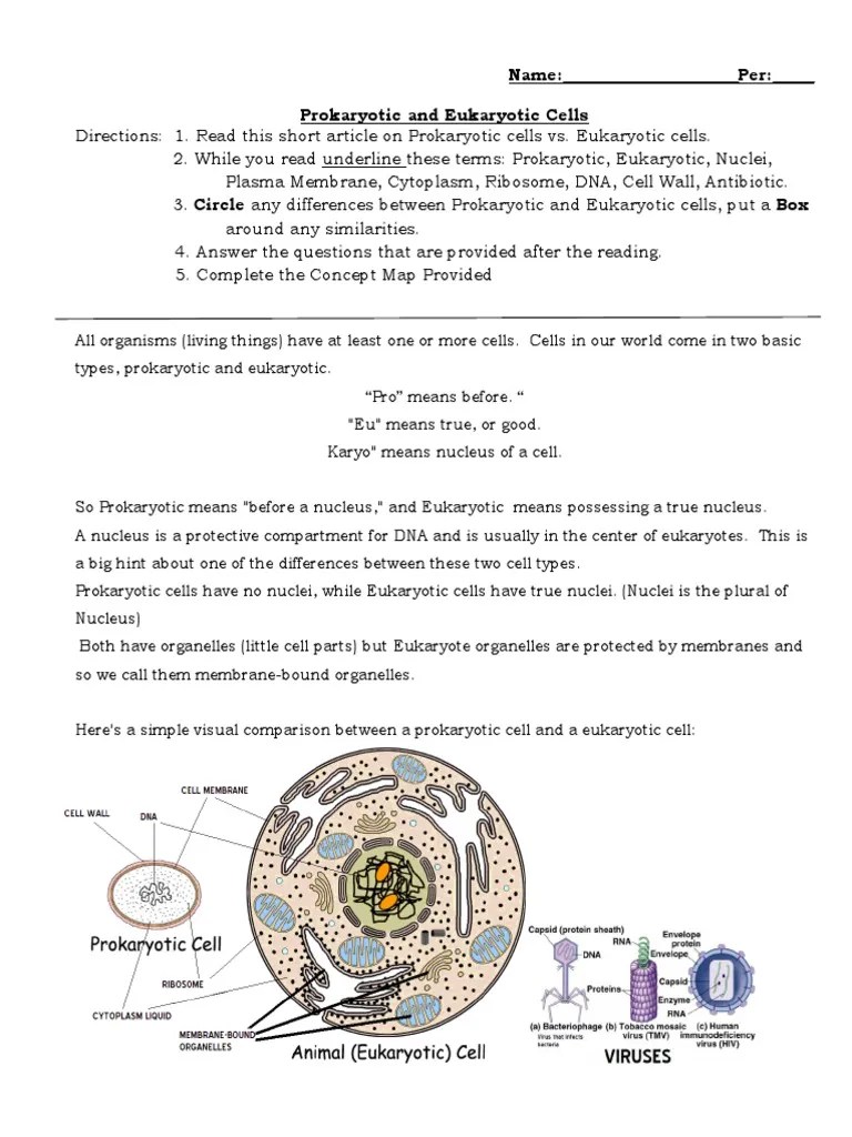 Plant cells are eukaryotic cells that differ in several key aspects from the cells of other eukaryotic organisms. Prokaryoticandeukaryotic Cells Close Reading Pdf Prokaryote Cell Biology