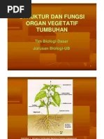 Organ tumbuhan adalah bagian bagian yang terdapat dalam tumbuhan dan memiliki macam macam fungsi. Struktur Fungsi Organ Vegetatif Tumbuhan Pdf