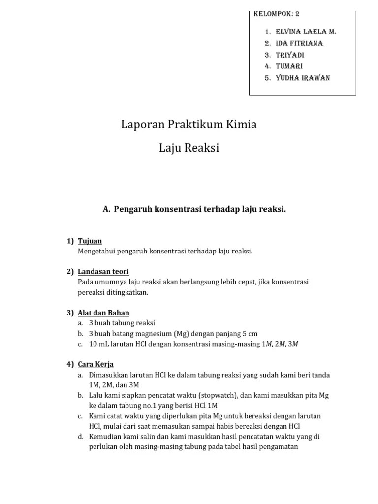 Laporan Praktikum | PDF
